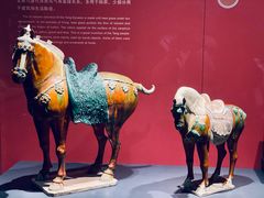 -陕西历史博物馆