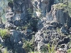 -千岛湖石林