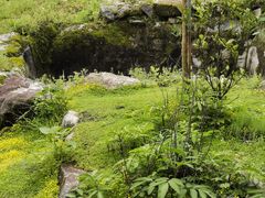 -MOJ coffee(瓯海泽雅水碓坑店)