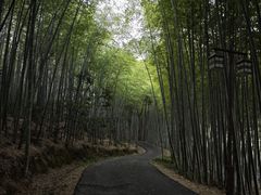-苏州环秀晓筑养生度假村