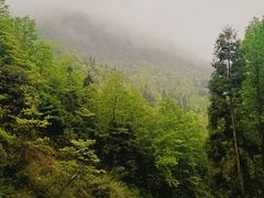 -西岭雪山大飞水景区