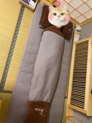 -姜美堂·蒸姜除湿の纤体美颜馆