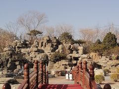 -莲花池公园