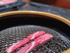 -虎哥六韩式烤肉料理 TIGERGRILL(隆生金山湖中心购物广场店)