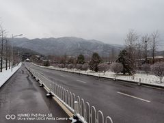 -北京西山国家森林公园