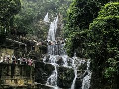-鼎湖山风景区