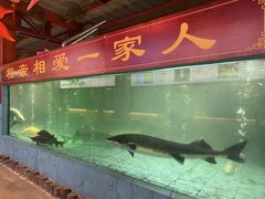 -年辉渔村·非遗传承餐厅(新丰江店)