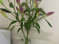 -麻友记·24h自助棋牌(金融科贸店)