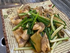 -鸽鸟轩(石岐店)