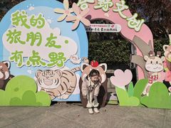 -合肥野生动物园