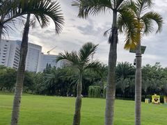 -莲花山公园