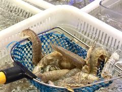 -喜碧海鲜·二十年本土海鲜老字号(上排店)