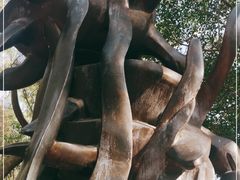 -广东惠东海龟国家级自然保护区