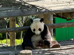 -西霞口神雕山野生动物世界