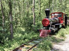 -合肥滨湖国家森林公园