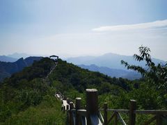 -大岭沟猕猴桃谷风景区