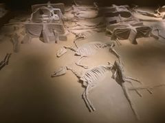 -洛阳周王城天子驾六博物馆