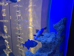 -上和臻品中国菜(花园街店)