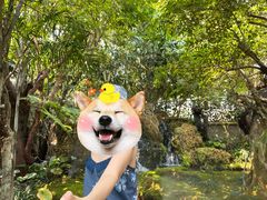 -Chom Cafe and Restaurant