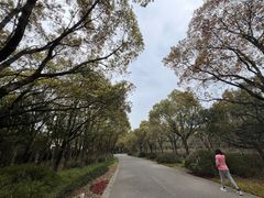 -上海海湾国家森林公园