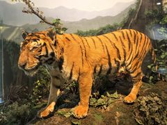 -陕西自然博物馆