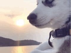 -DQ·蛋糕·冰淇淋(浦江欢乐颂店)