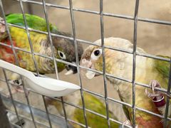 -南宫五洲植物乐园