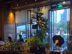 -同仁四季椰子鸡(福田车公庙店)