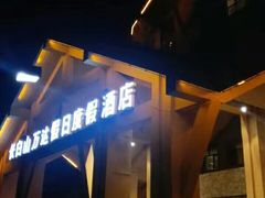 酒店正门夜晚-长白山万达锦华套房酒店