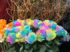 -双季花艺园艺市场(浦东店)