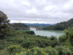 -广州市流溪河国家森林公园