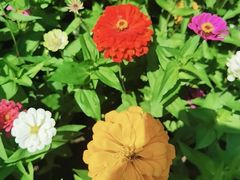 -长春公园(普阳街道)