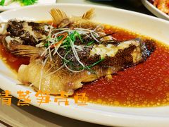 -红城阁·上海味道(四平路店)