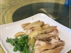 -黄B湛江鸡饭店(粤垦路店)