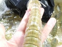-霞涌市场海鲜摆卖区
