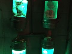 -秃鹫湾·推理大师沉浸式实景演绎推理剧场