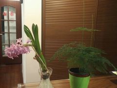 -龙大花卉苗木市场