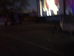 -枫花园汽车电影院(朝阳公园店)