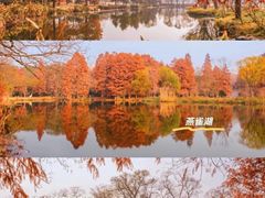 -老门东历史文化街区