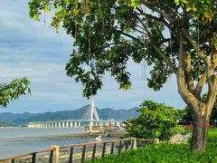 -深圳湾公园(南山区)