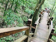 -祁门牯牛降观音堂风景区