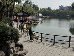 -莲湖公园