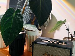 -本無咖啡·BeanWood Coffee