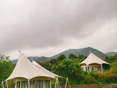 -帐篷客·溪龙茶谷度假酒店