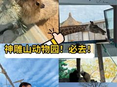 -西霞口神雕山野生动物世界