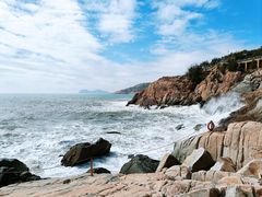 -广东惠东海龟国家级自然保护区