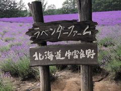 -富田农场