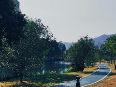 -四海公园(南山区)