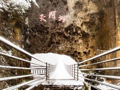 -武陵山森林公园