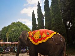 -云南民族村